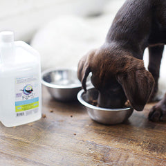 LifeSense C8 MCT Oil for Dogs mixed with meals elevates flavor and energy