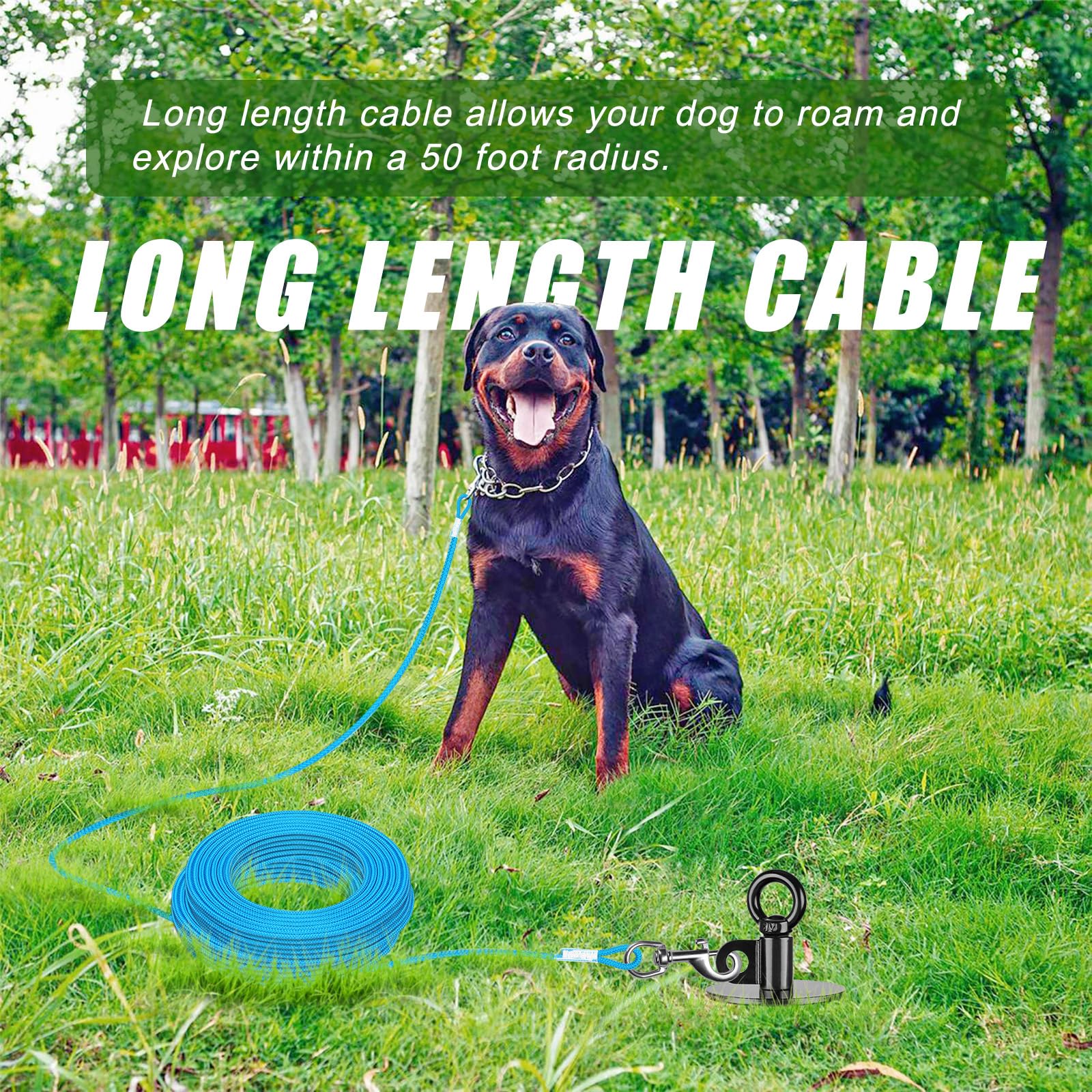 Lifeswell 360° swivel ring reduces tangles during play.