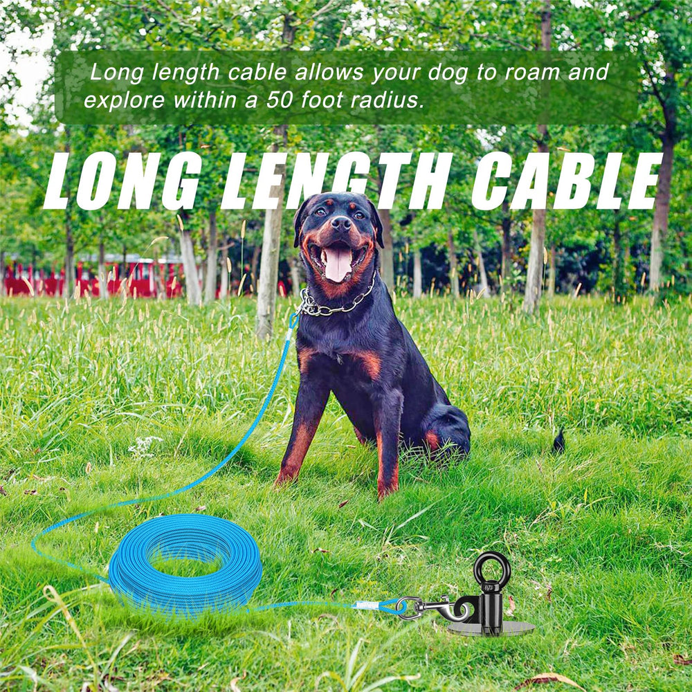 Lifeswell 360° swivel ring reduces tangles during play.
