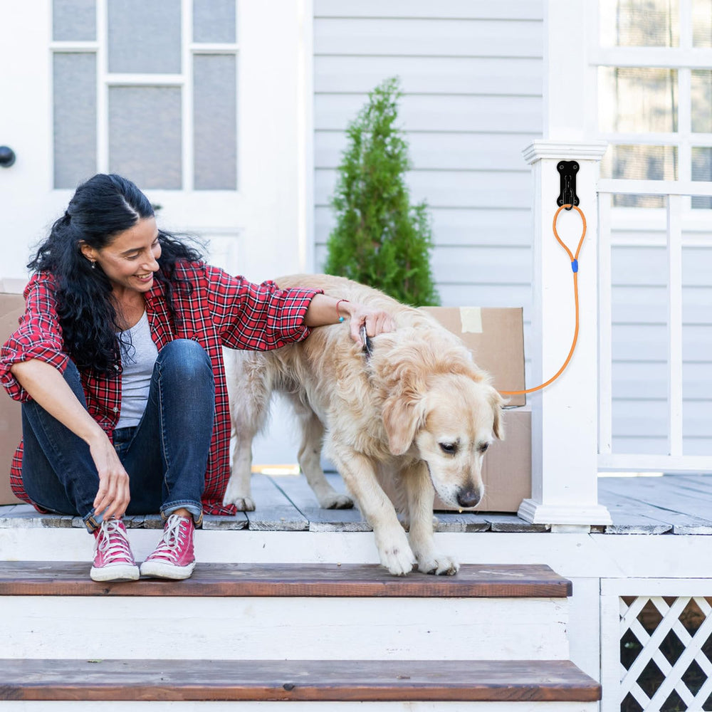 Lifeswell indoor-outdoor use suitable for home or yard mounting