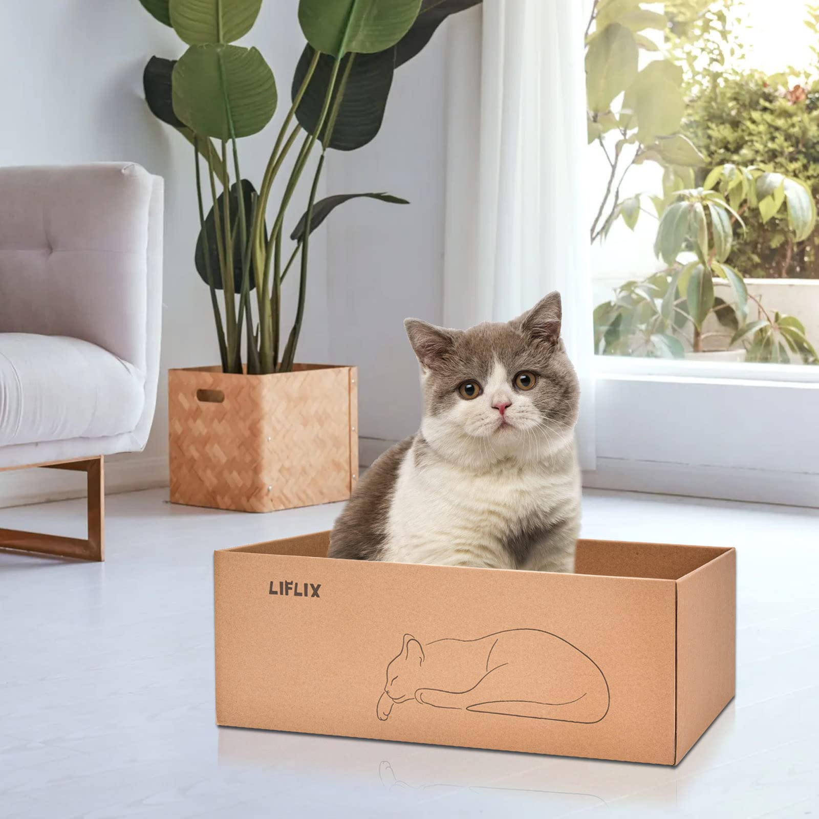 LIFLIX large dimensions give cats ample lounging space