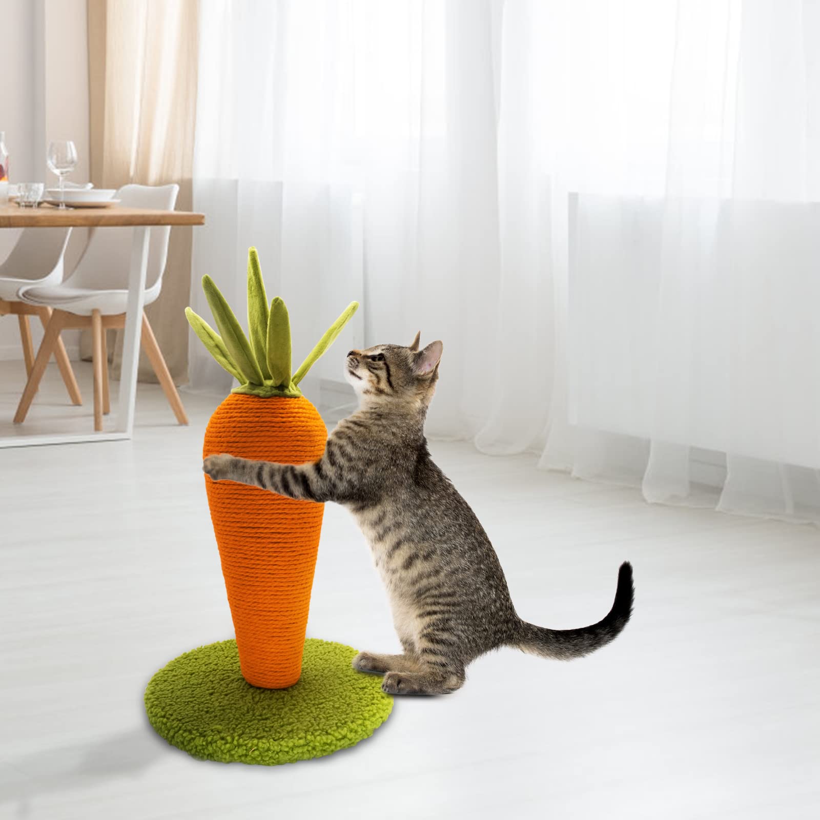 LIFLIX ideal for indoor cats and kittens up to 10 lbs.