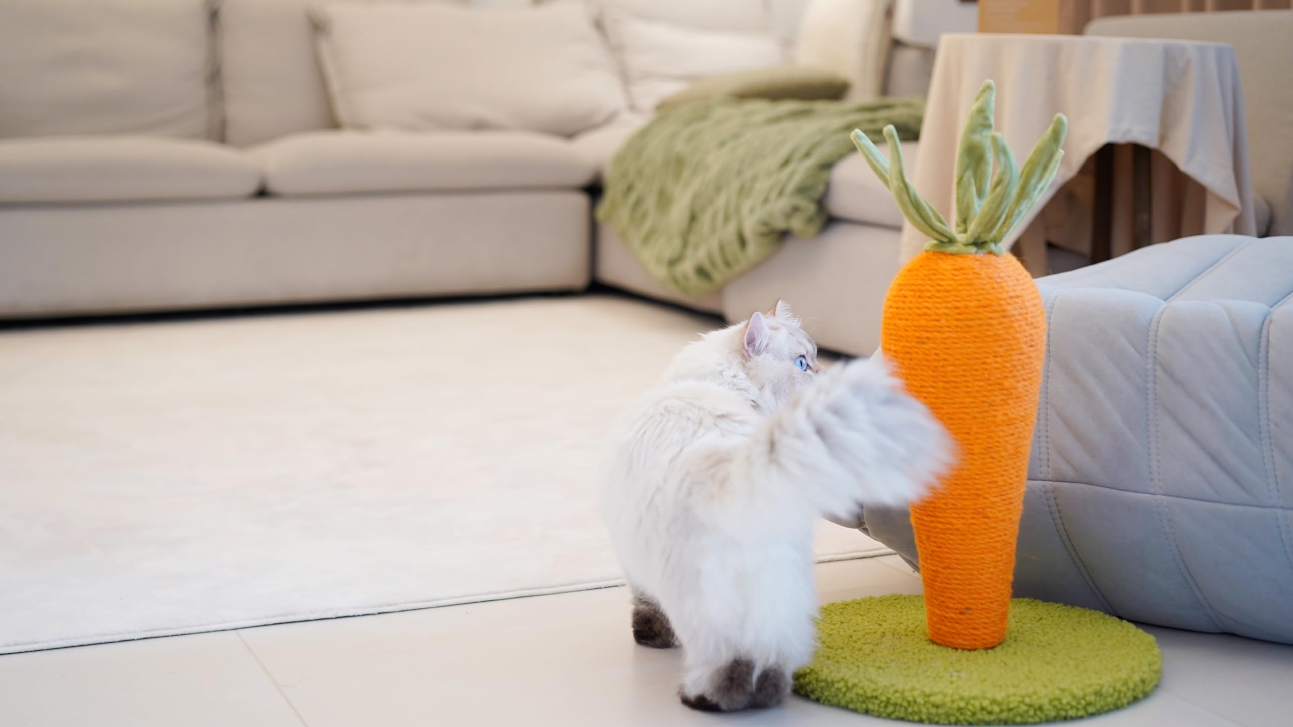 LIFLIX easy to assemble design lets you set up quickly.