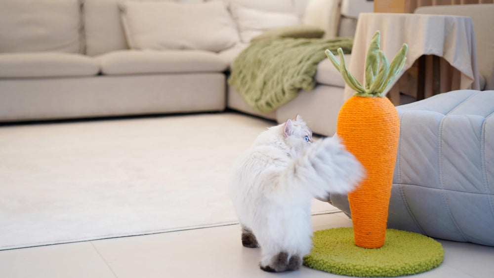 LIFLIX easy to assemble design lets you set up quickly.