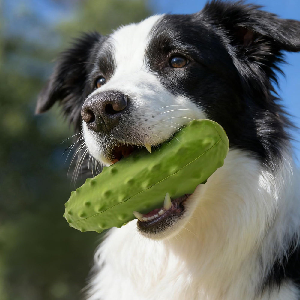 LIFLIX squeaky toy enhances interactive play during fetch and chew.