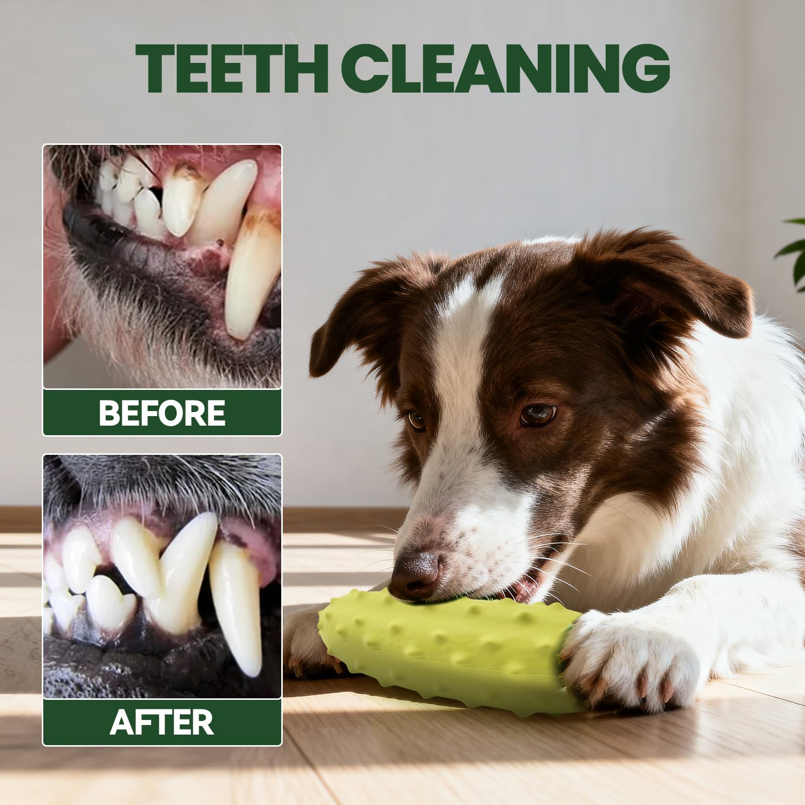 LIFLIX teething-friendly chew toy supports comfort for teething dogs.