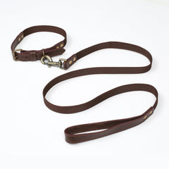 Light & Pro heavy-duty dog collar close-up showing 21-inch adjustable fit for secure control.