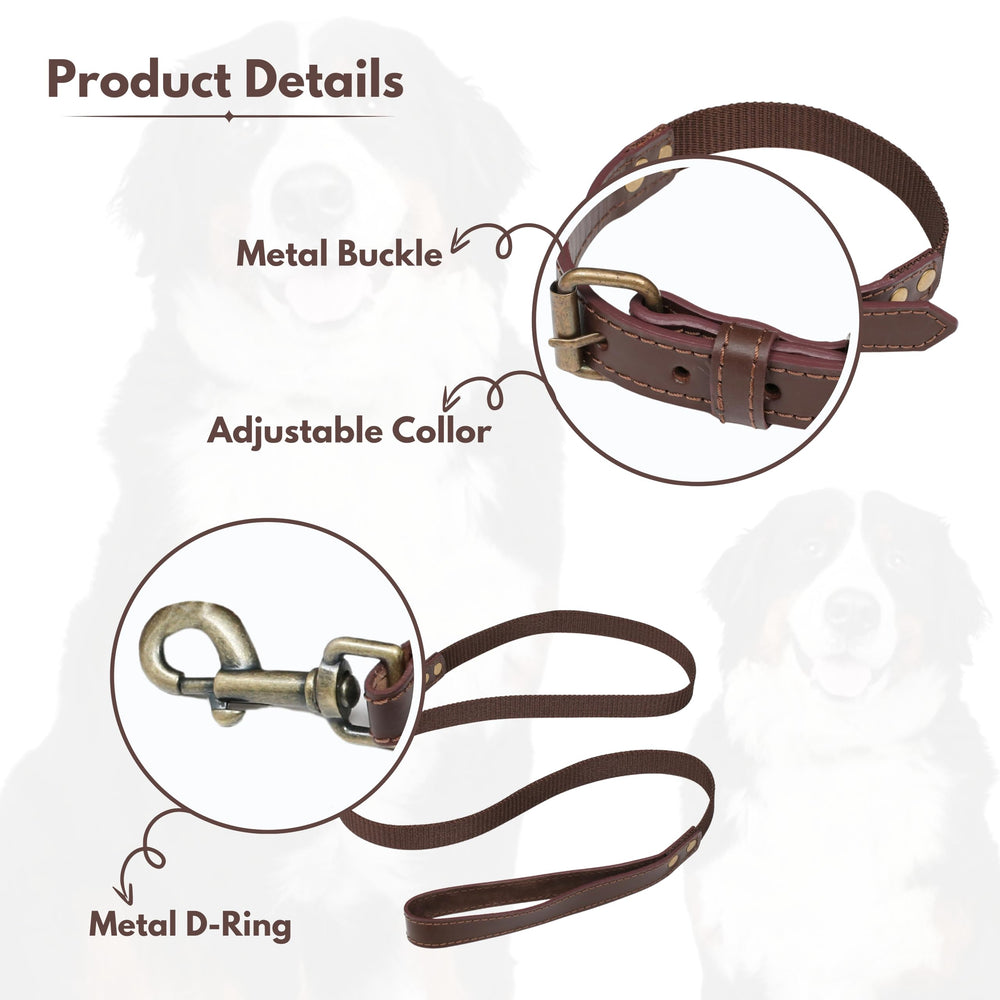 Light & Pro leash close-up highlights 50-inch length for balanced freedom during walks.