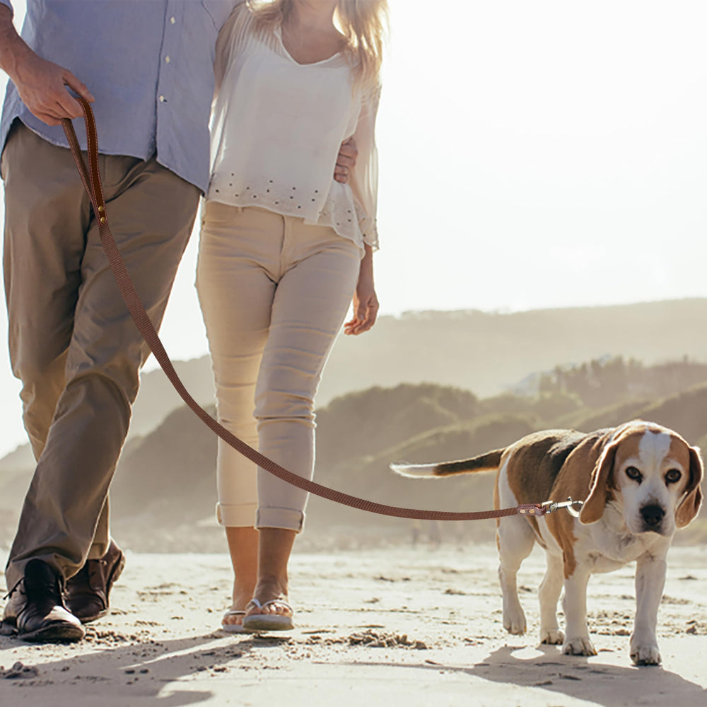 Light & Pro big-breed fit image shows secure control during training with a large dog.