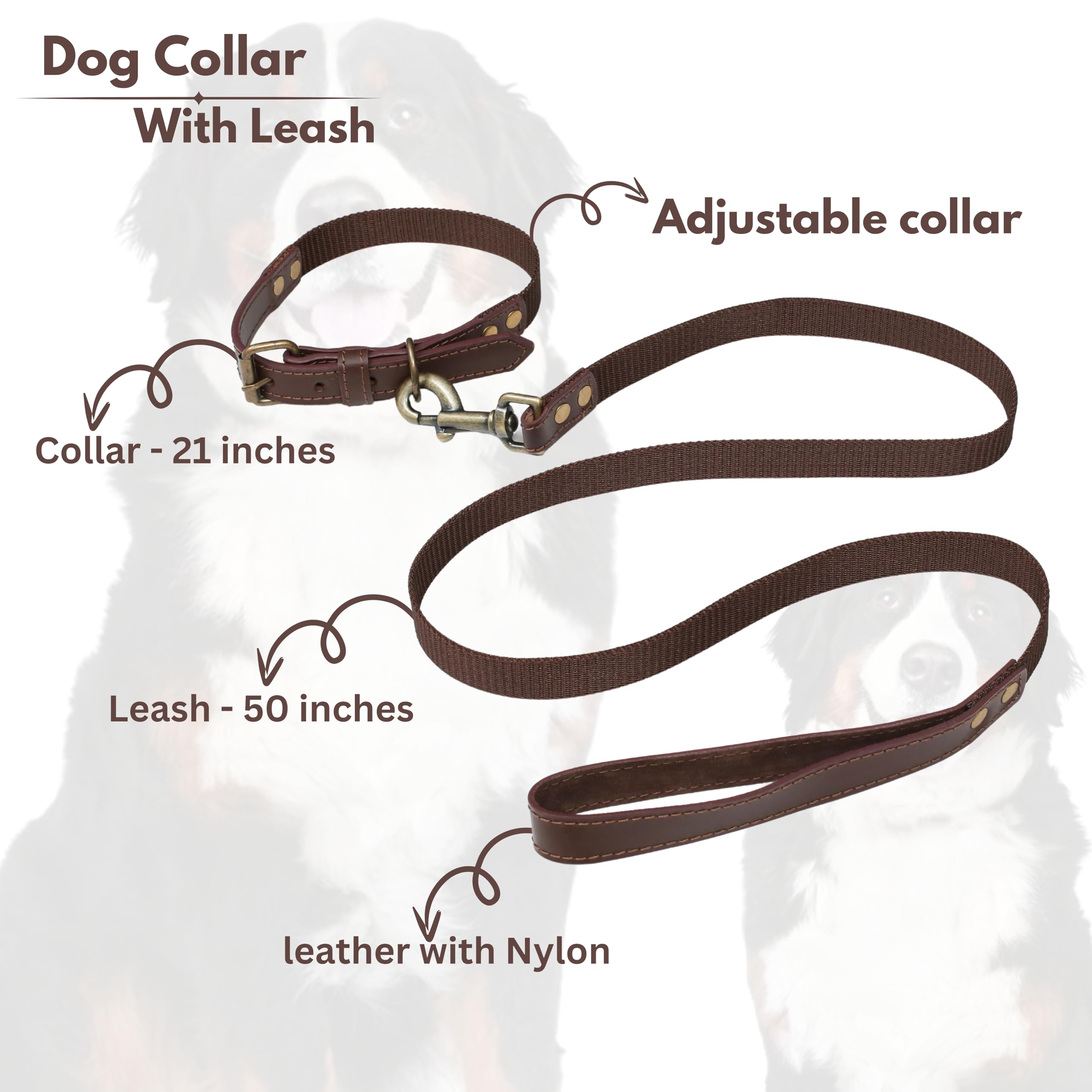 Light & Pro leash clip close-up shows secure connection to the collar.