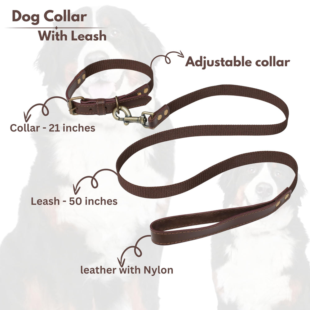 Light & Pro leash clip close-up shows secure connection to the collar.
