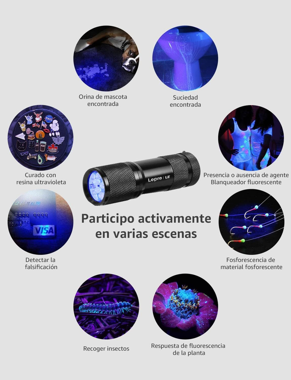 Lighting EVER LE compact UV light detects currency and official documents quickly