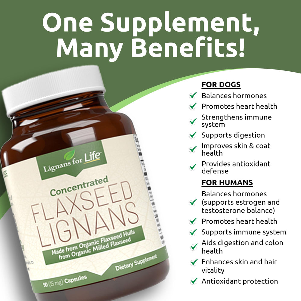Lignans For Life dog with bowl — flaxseed lignans support canine vitality and daily wellness.