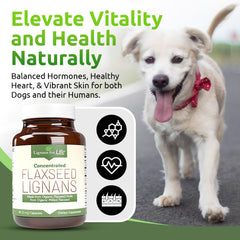 Lignans For Life woman taking capsule — easy daily hormone-support and fiber-friendly routine.