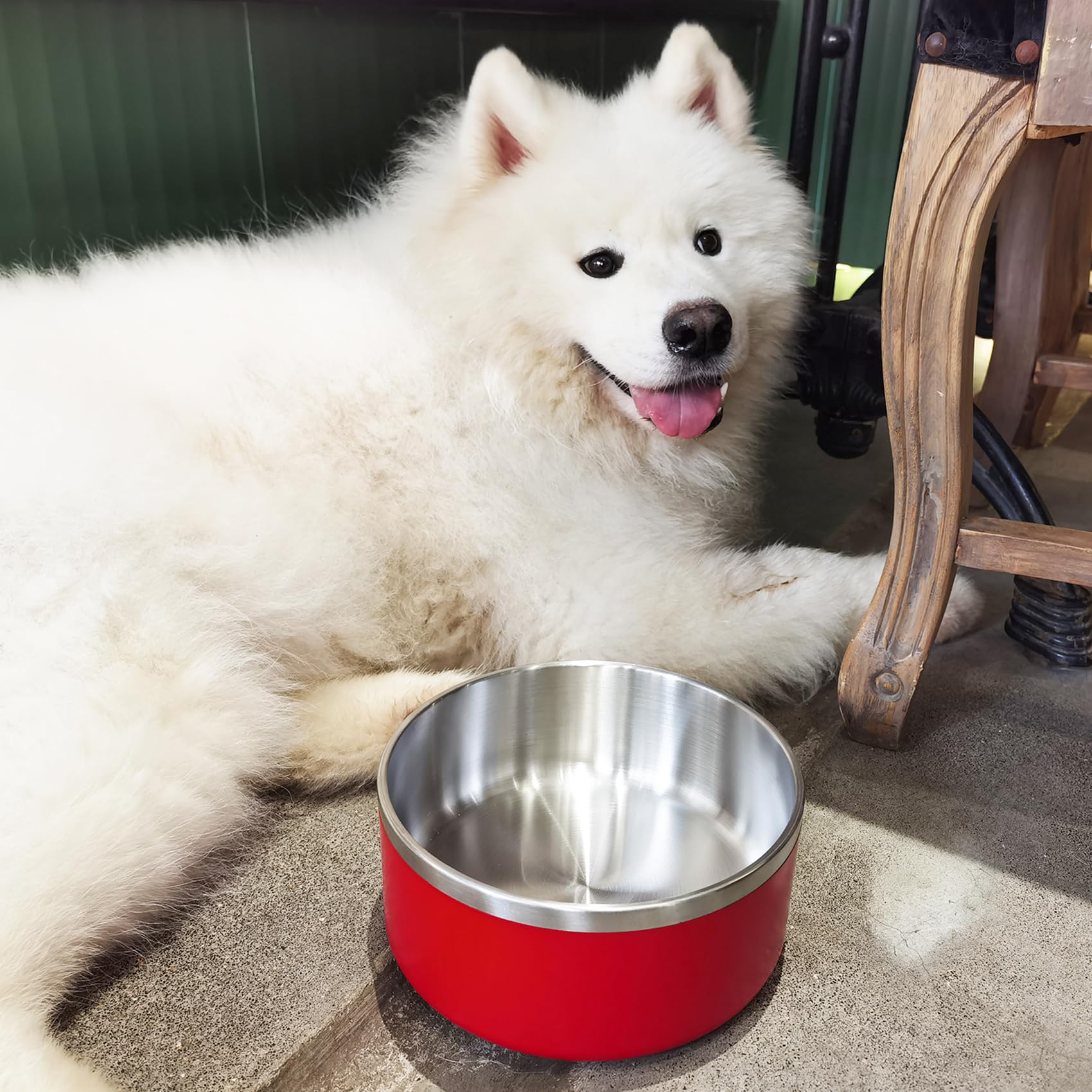 LIHOOOOM easy-clean dog bowl simplifies post-meal cleanup and air dries