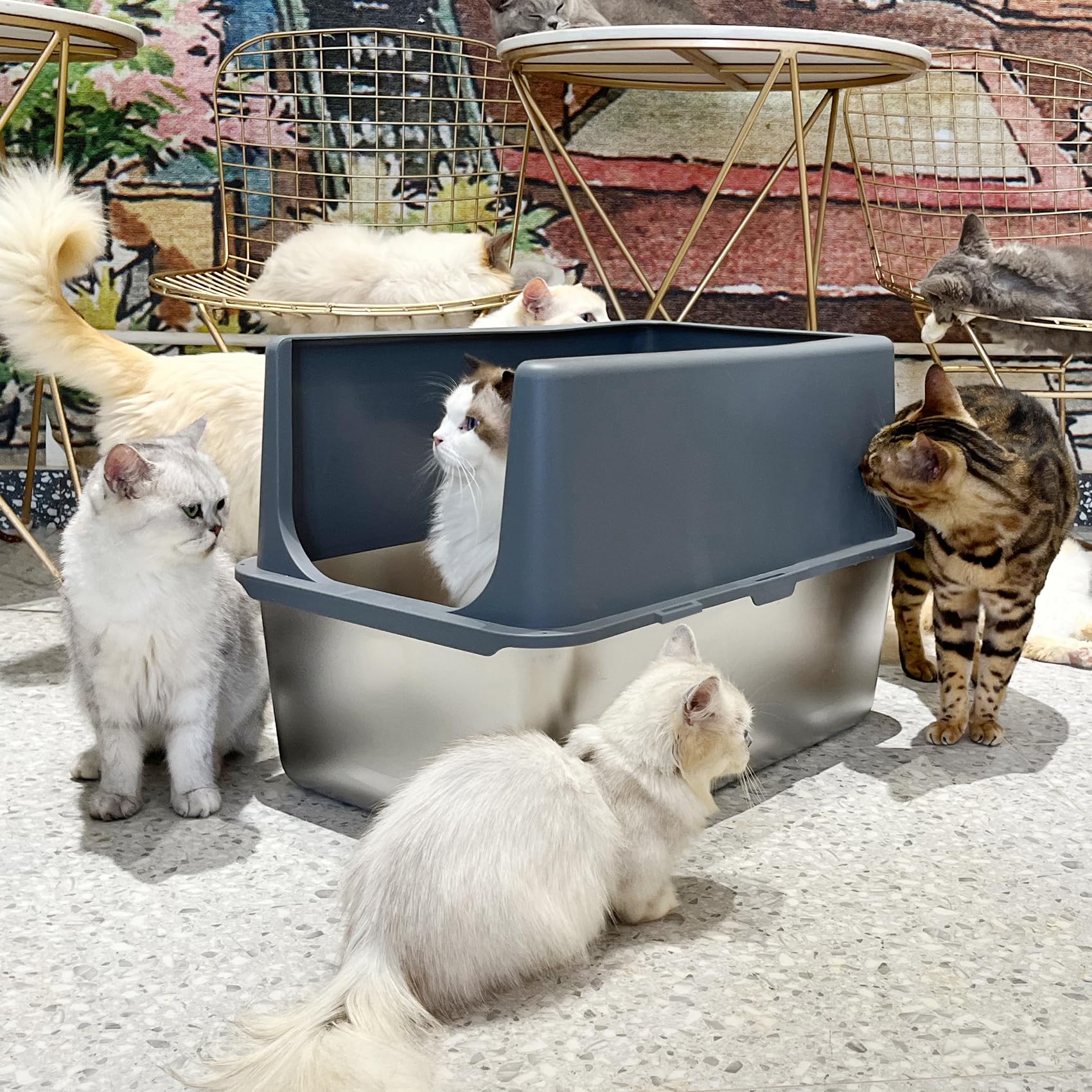 LIHOOOOM odor-reducing bottom helps keep the room fresher between cleanings.