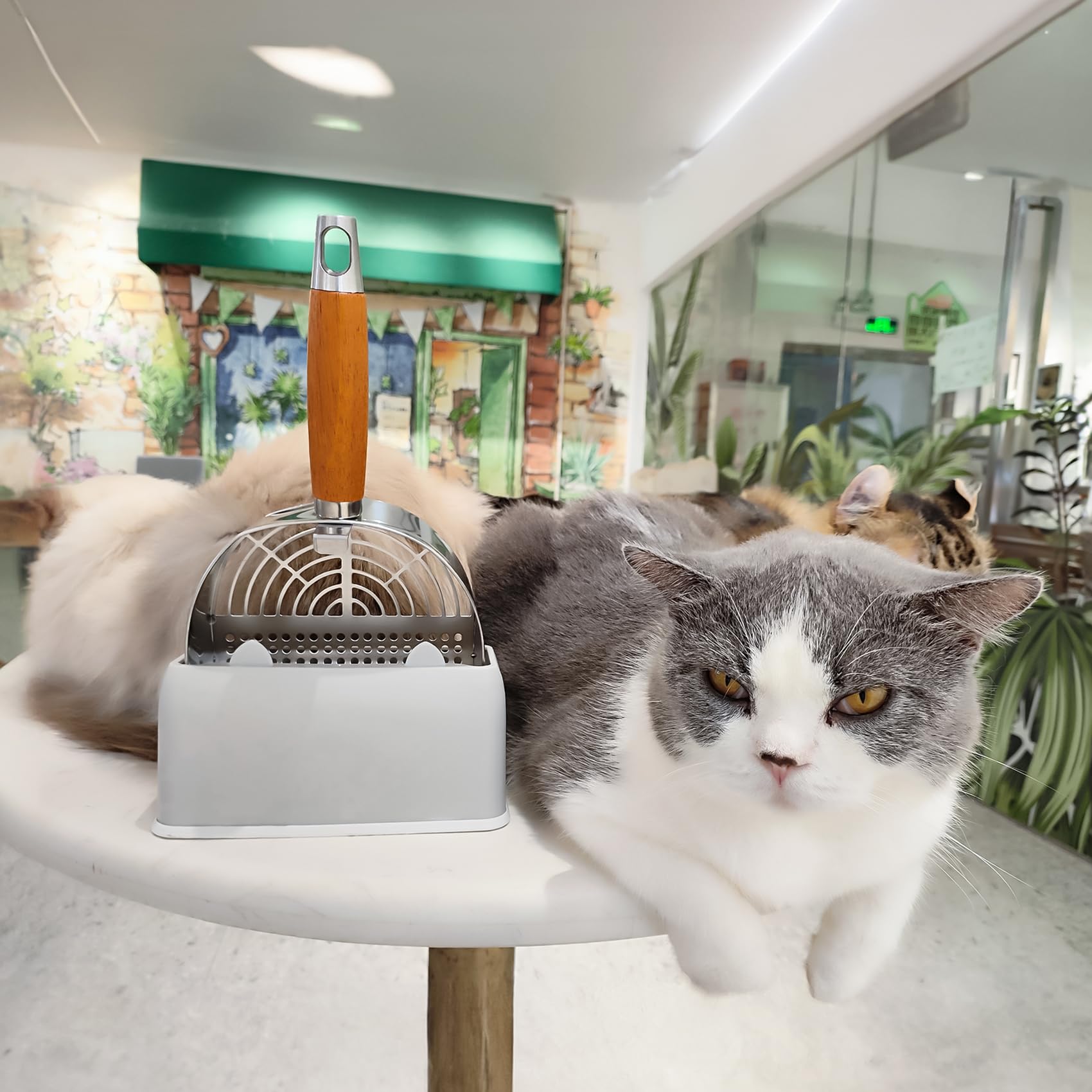 LIHOOOOM rust-proof-steel emphasizes durable longevity vs. plastic alternatives.