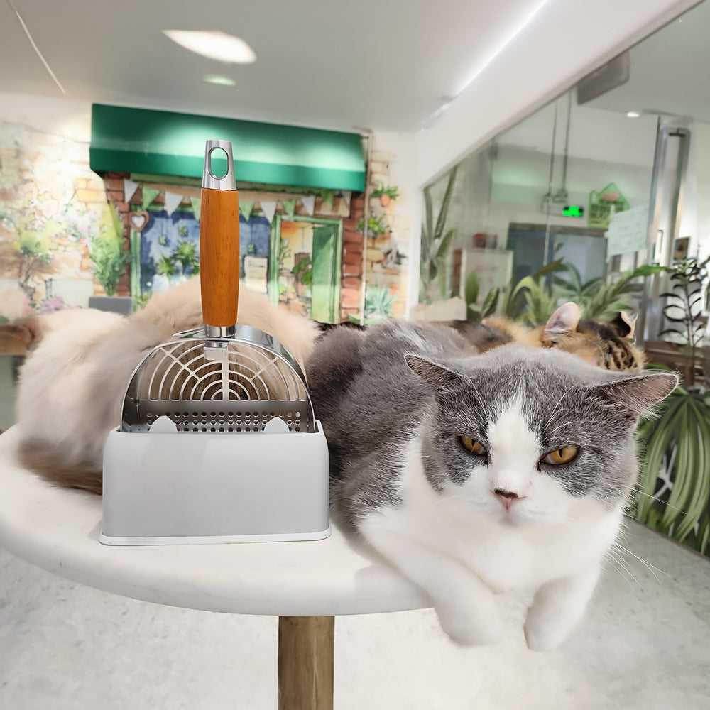 LIHOOOOM rust-proof-steel emphasizes durable longevity vs. plastic alternatives.