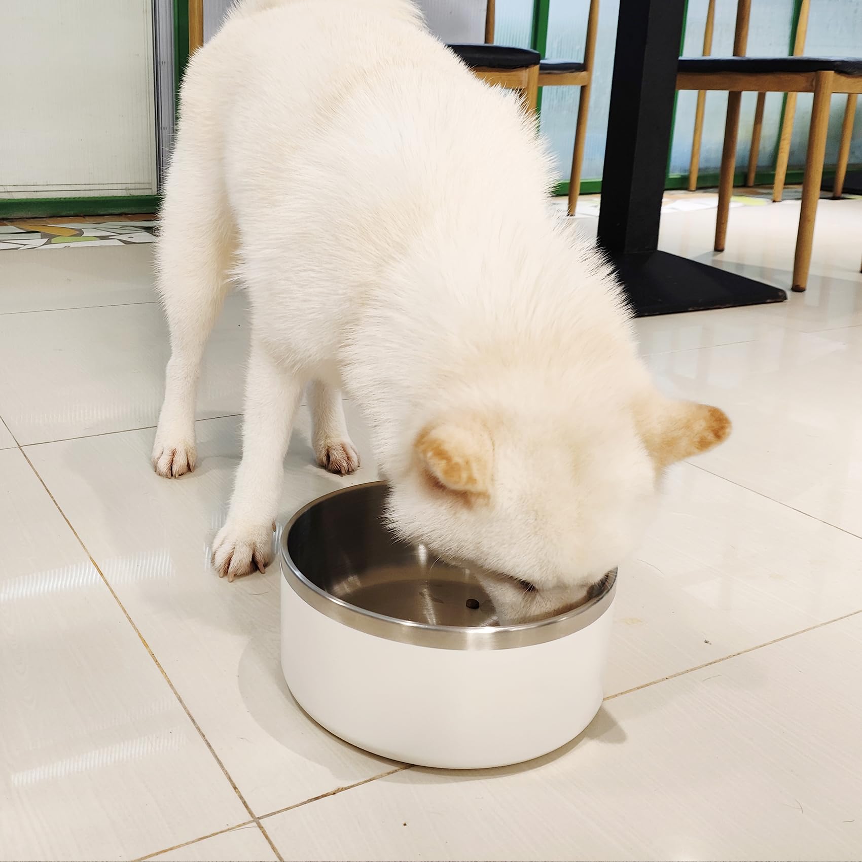 LIHOOOOM dog bowl easy-clean surface simplifies after-meal maintenance