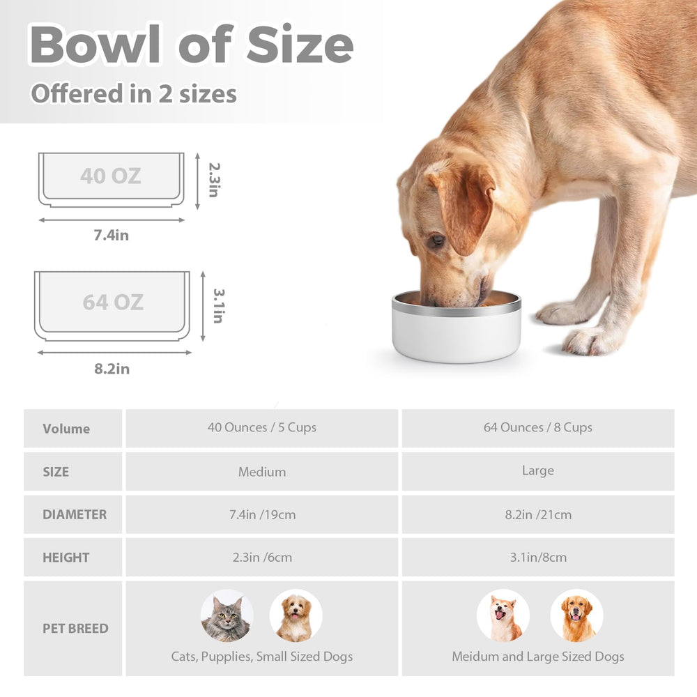 LIHOOOOM stainless-steel dog bowl outer PP design provides stylish look and easy cleaning