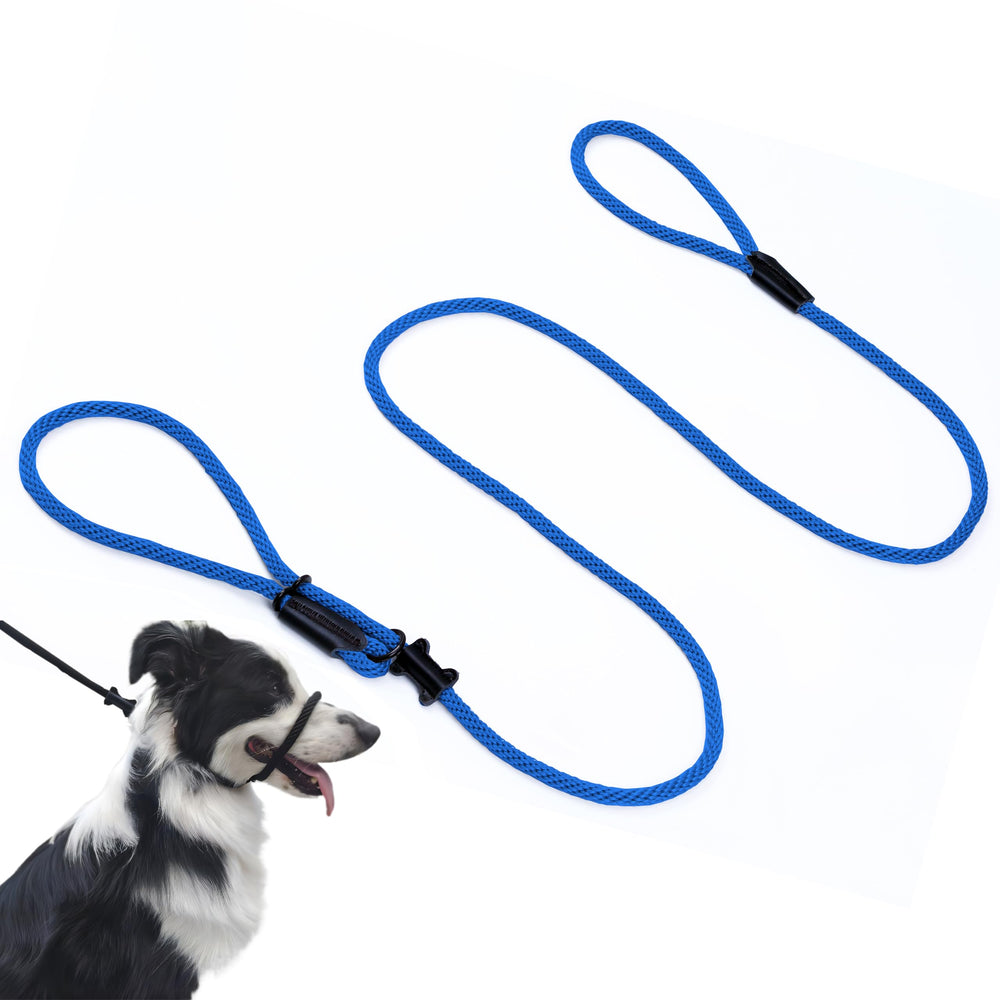 Lihtaiyi figure-8 head halter blue front view for controlled training and safer walks