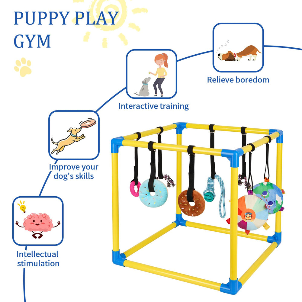 Liitrton puppy play gym assembly shows tool-free setup and storage.
