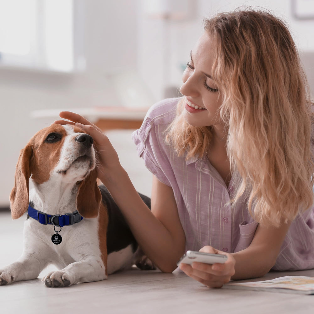 Likesing collar on dog walking highlights breathable comfort