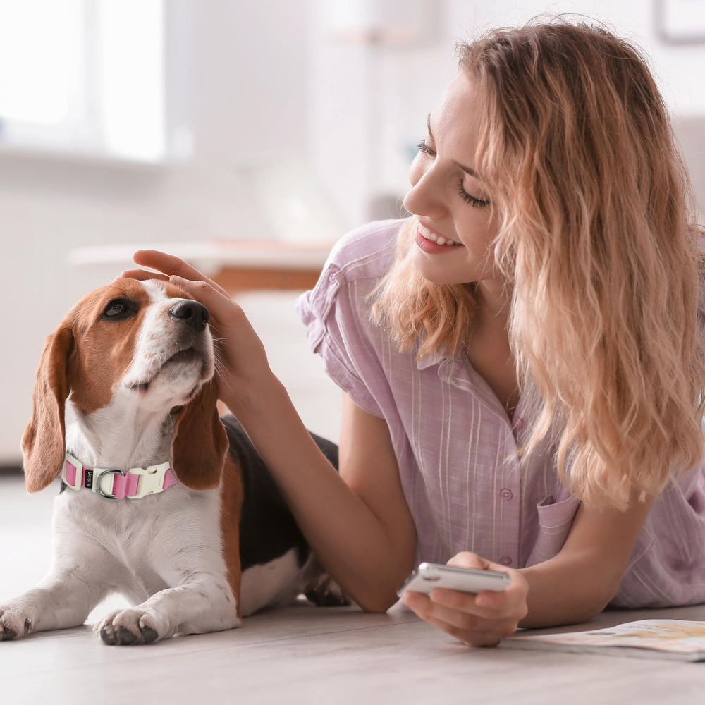Likesing pink collar shows D-Ring for reliable leash attachment