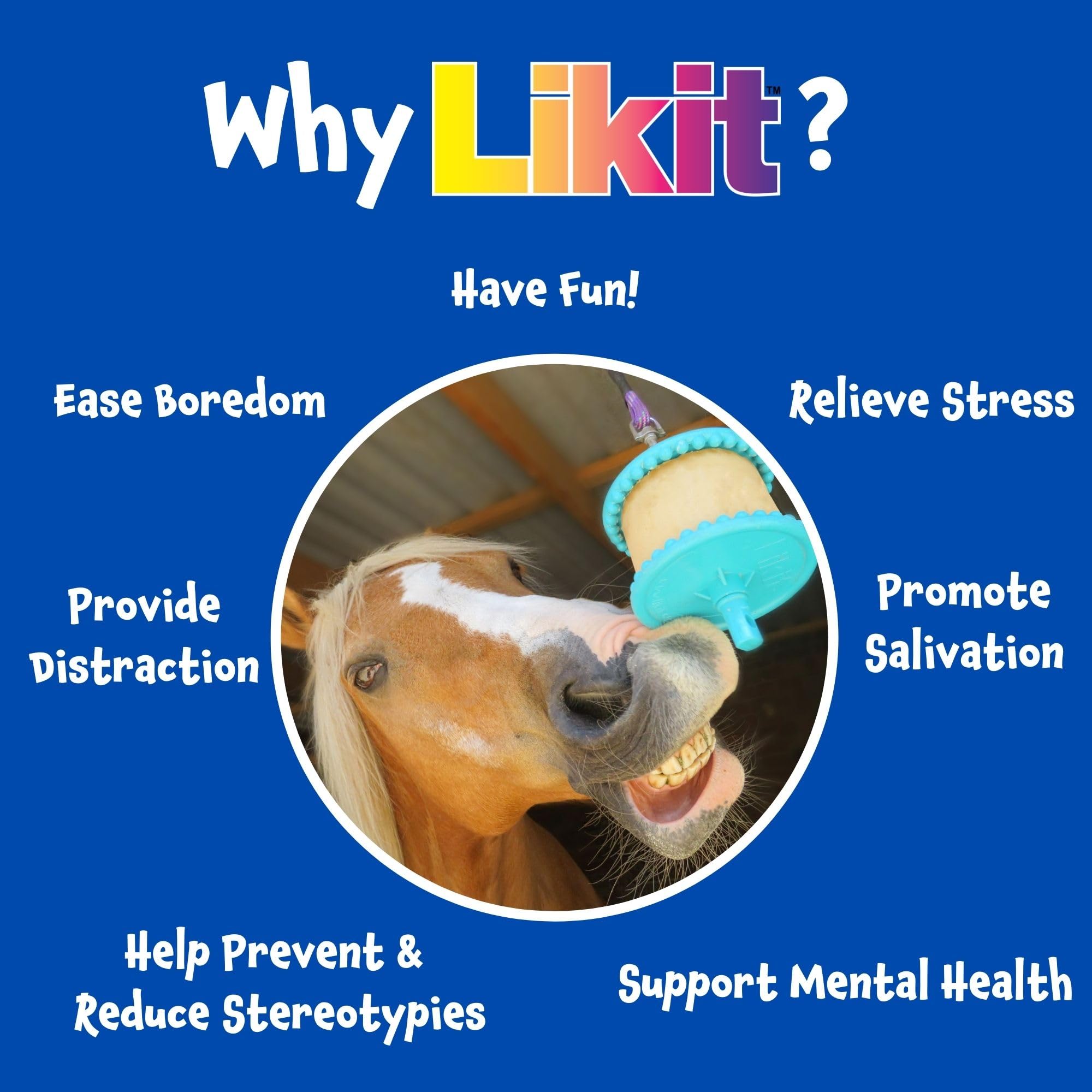 Likit Signature Holder Aqua Clear horse-enrichment action underscores interactive play