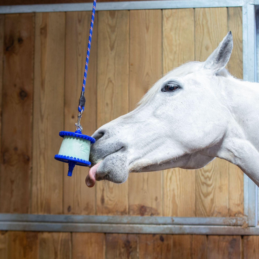 Likit Signature Holder Aqua Clear in-stable scene demonstrates enrichment potential