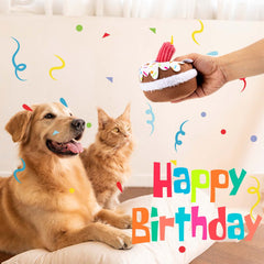 lilfrd dog birthday toy cake side highlights colorful surface for engaging playtime