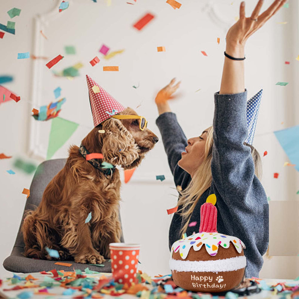 lilfrd dog birthday toy washable materials facilitate easy cleaning after playtime