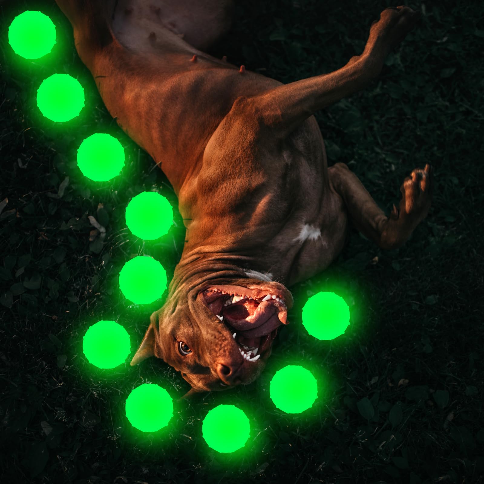 Liliful glow ball supports interactive fetch and eye-coordinated playtime.