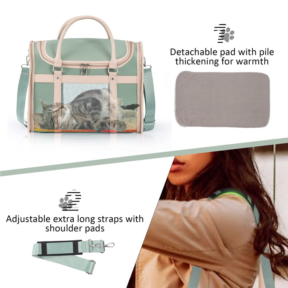 Lilliella carrier backpack easy-hose-wash helps quick cleanup after adventures