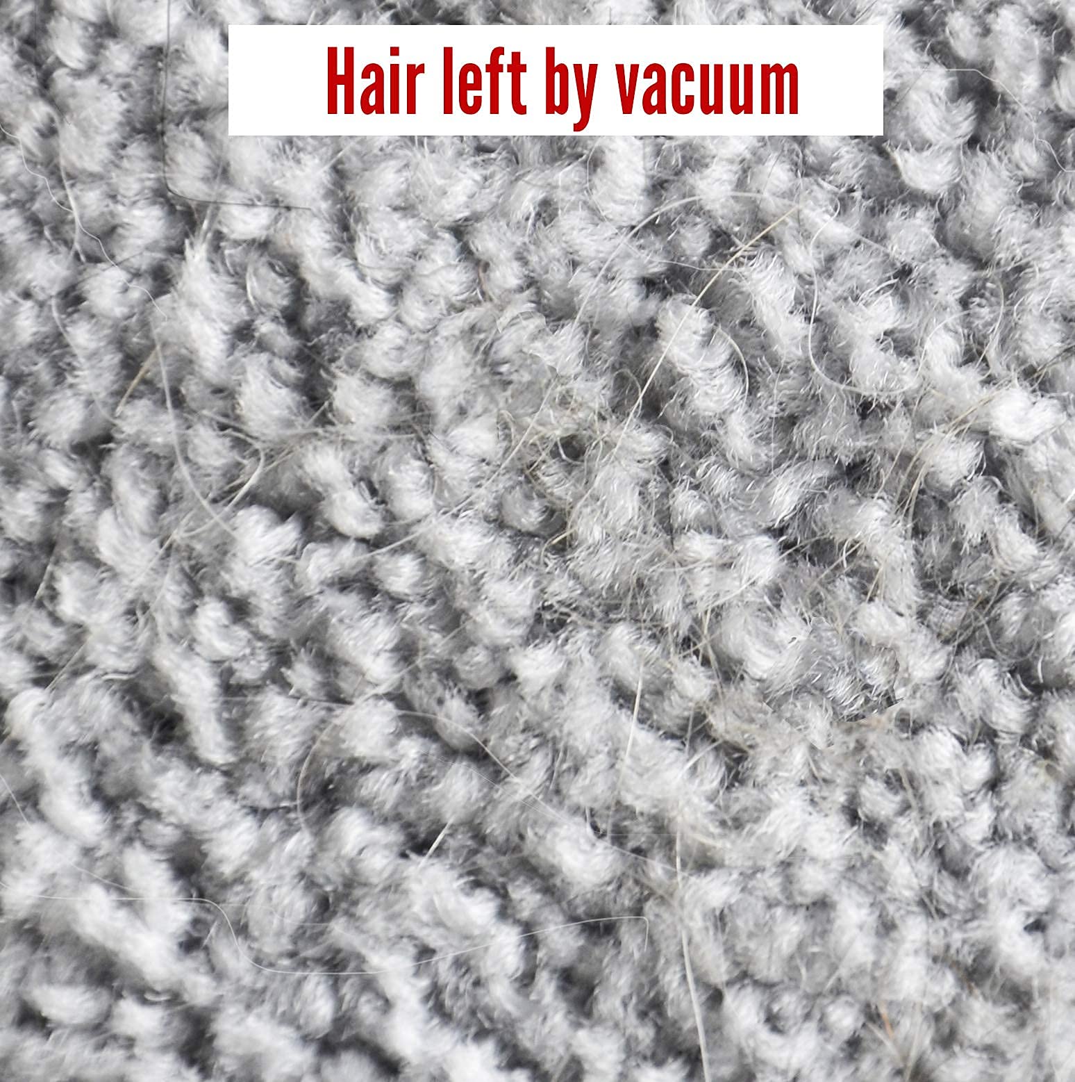Lilly Brush Mighty Pet Hair Detailer Head compatible with carpet profiles for versatile use