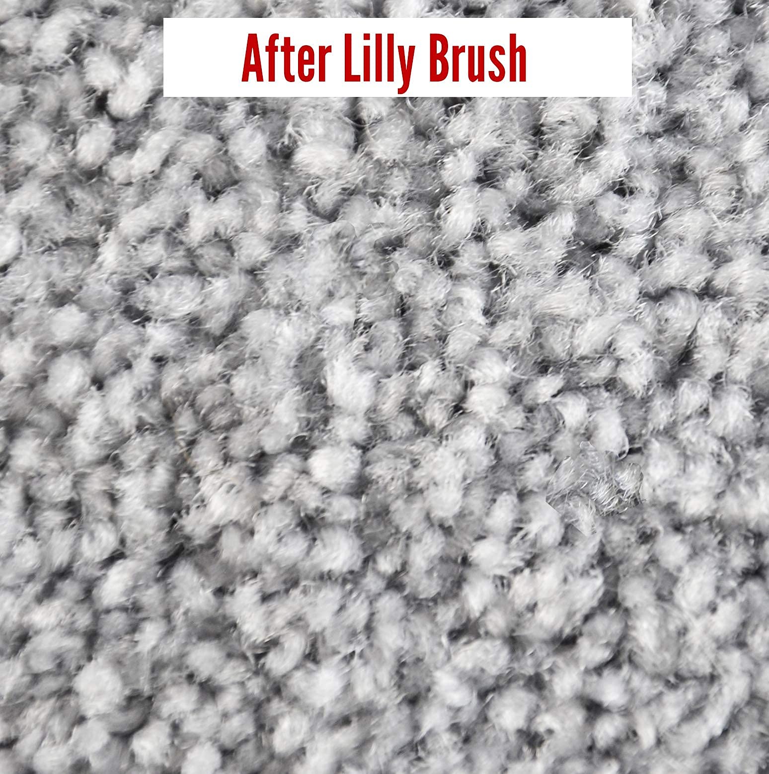 Lilly Brush Mighty Pet Hair Detailer Head durable design and easy maintenance