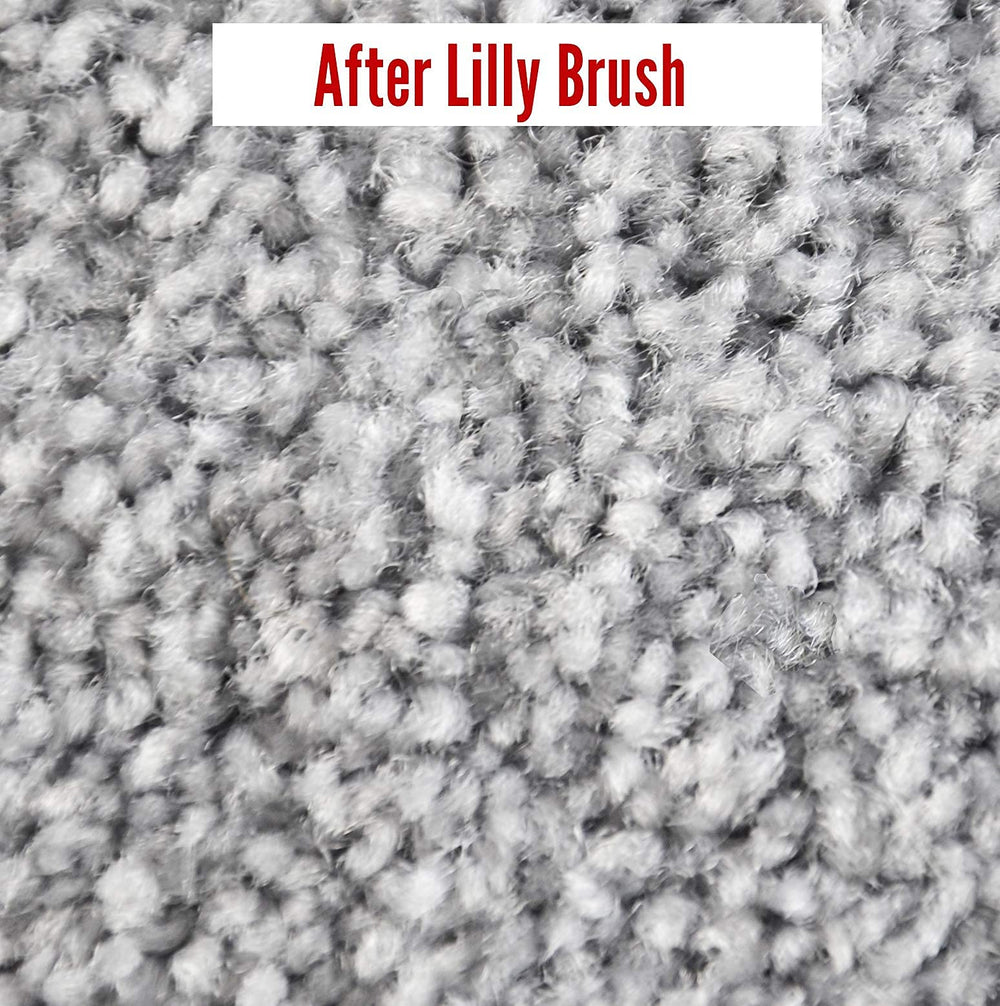 Lilly Brush Mighty Pet Hair Detailer Head durable design and easy maintenance