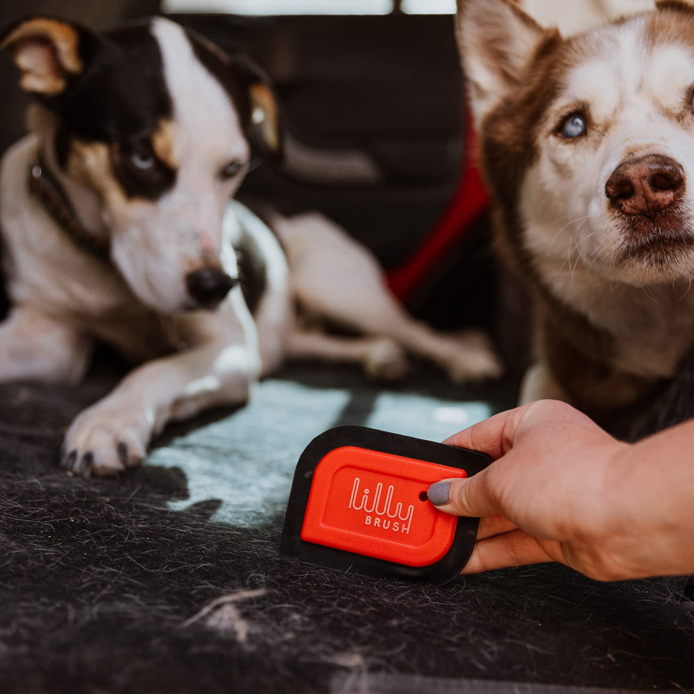 Lilly Brush Mini Pet Hair Detailer on car seat reveals embedded fur lift.