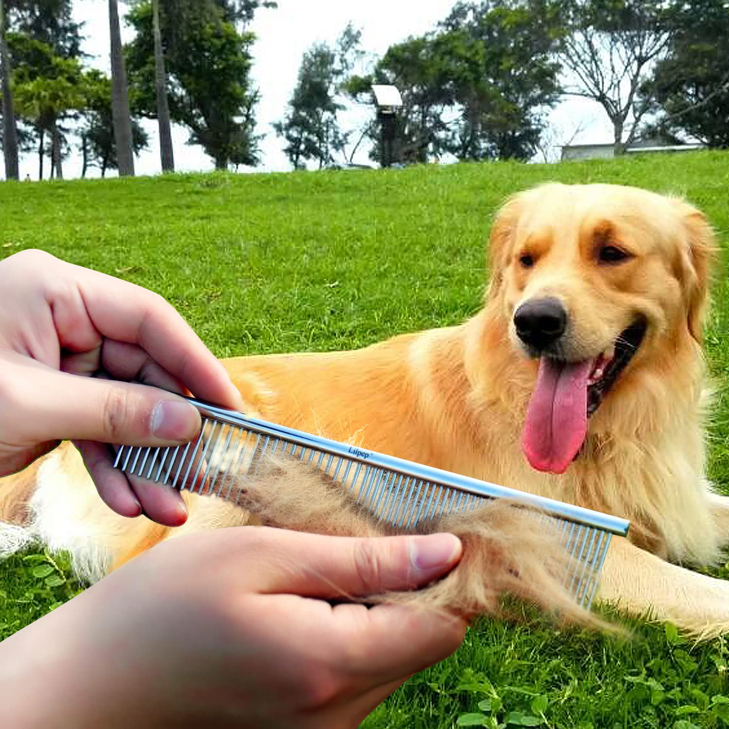 Lilpep comb gliding to massage skin and promote circulation.