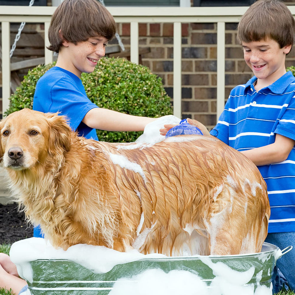 Lilpep pet shampoo brush demonstrates foam dispersion during bath time for even coating.