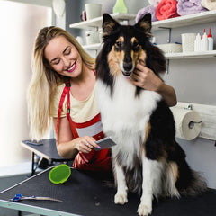Lilpep stainless steel dog comb with narrow teeth for precision grooming.
