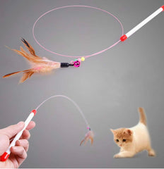 Lily and Prim feather chaser toy sparks agile play sessions
