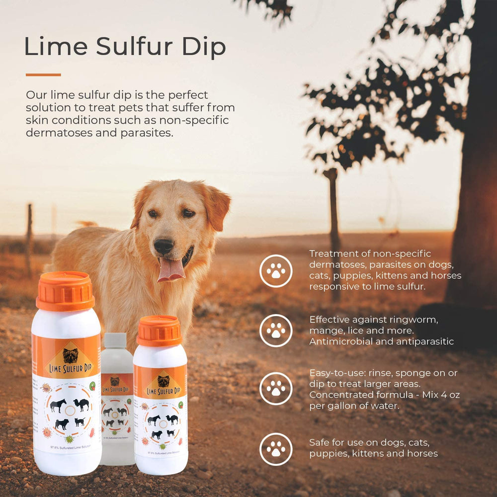 Classic's Lime Sulfur Dip used on a cat for skin comfort.