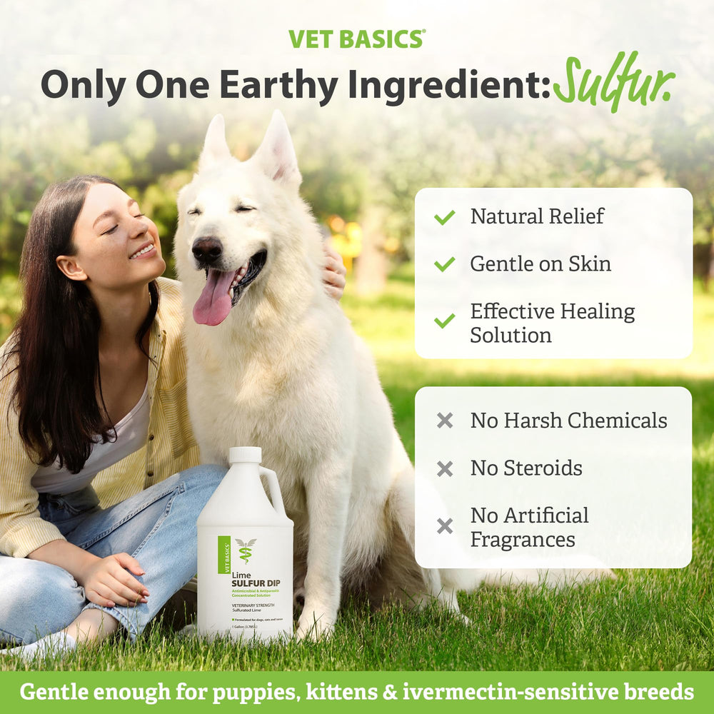 Revival Lime Sulfur Dip dog-care scene highlighting mange support