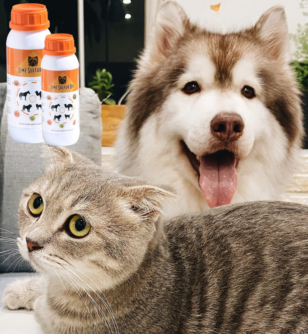 Classic's Lime Sulfur Dip includes staining and smell caution.