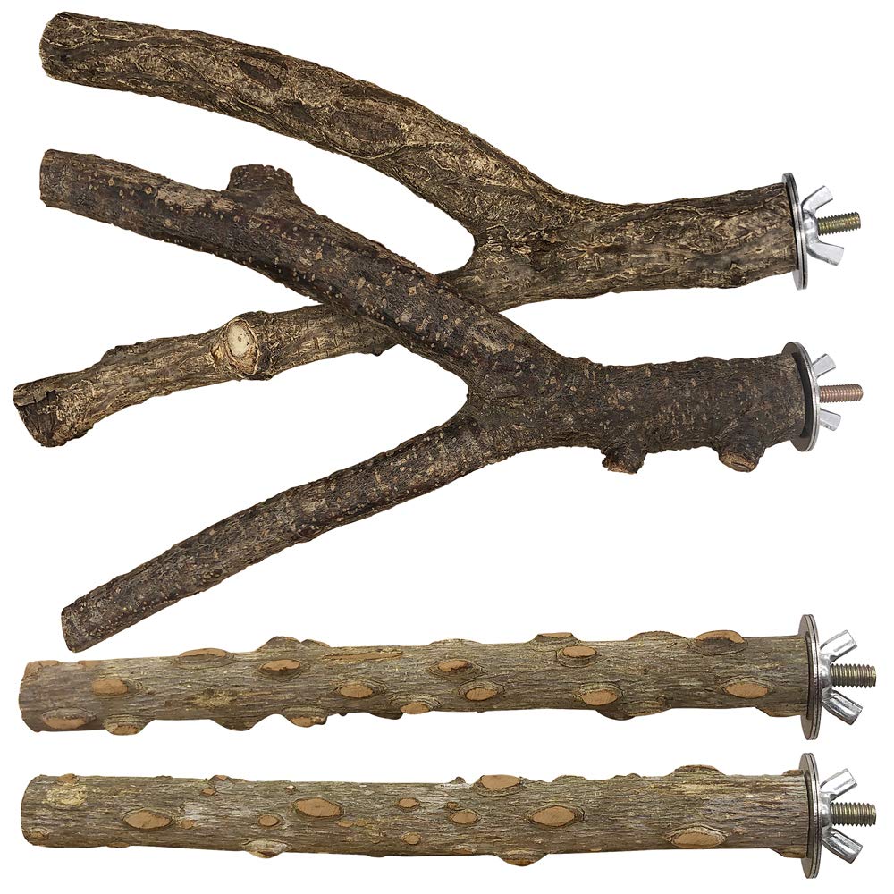 LIMIO Bird Perch branch view shows non-slip grip for secure perching