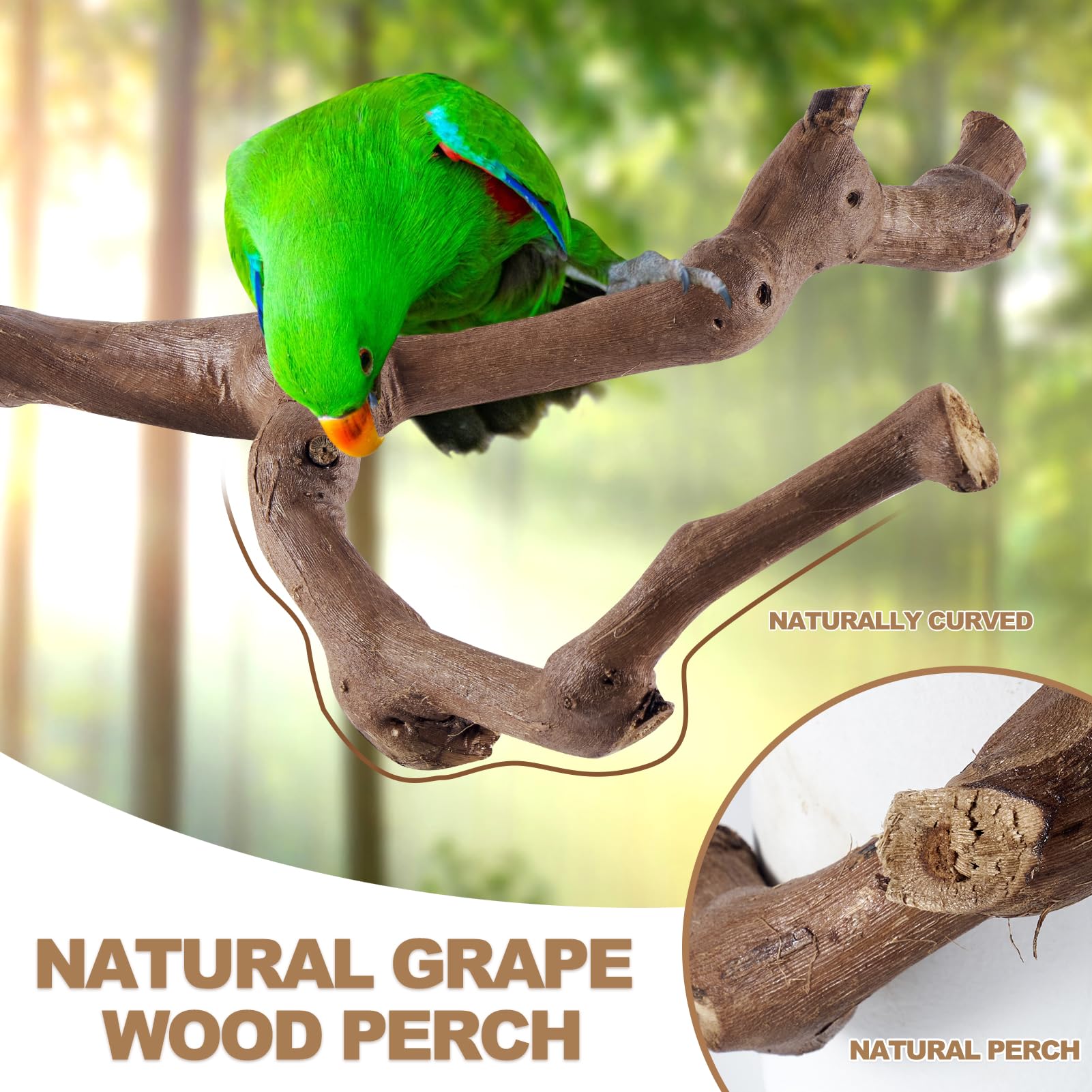 LIMIO parakeet perch provides ergonomic grip for active play