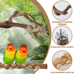 LIMIO round platform perch offers stable resting for small birds