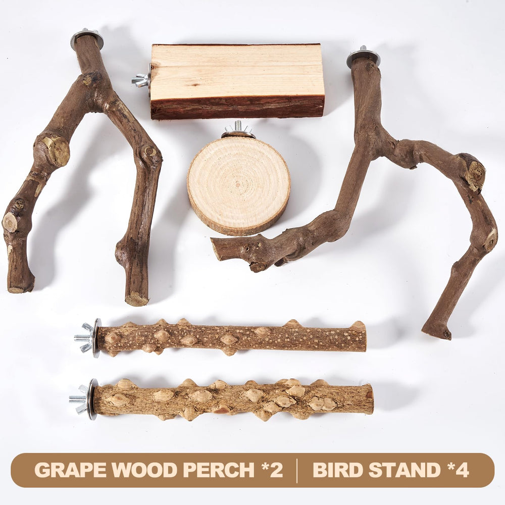 LIMIO ideal for small to medium parrots like cockatiels and budgies