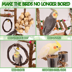 LIMIO Bird Playground activity-center boosts physical activity with toys and perches.